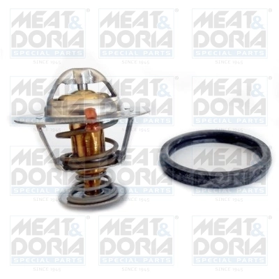 Thermostat, coolant